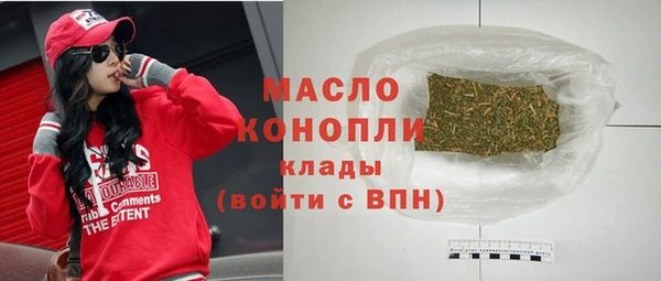 гидра Володарск