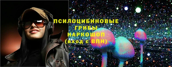 гидра Володарск