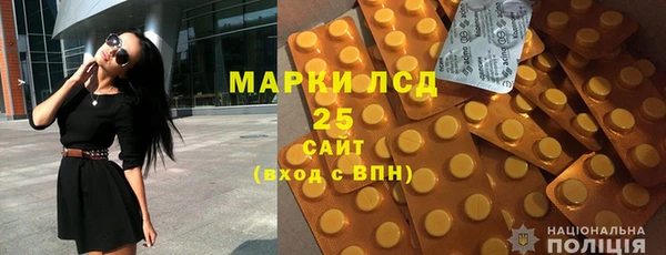 гидра Володарск
