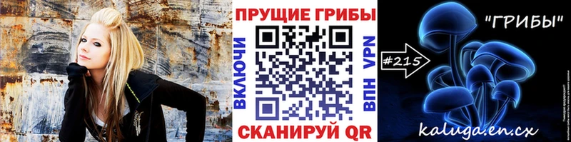 Псилоцибиновые грибы Psilocybe  Зима 