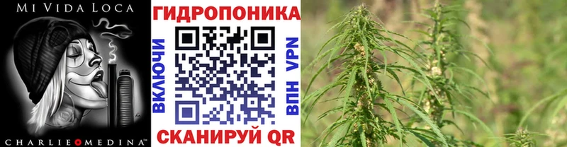 Шишки марихуана сатива даркнет официальный сайт Зима